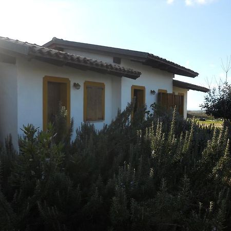 Agriturismo Su Nuratolu Villa Sagama Ngoại thất bức ảnh