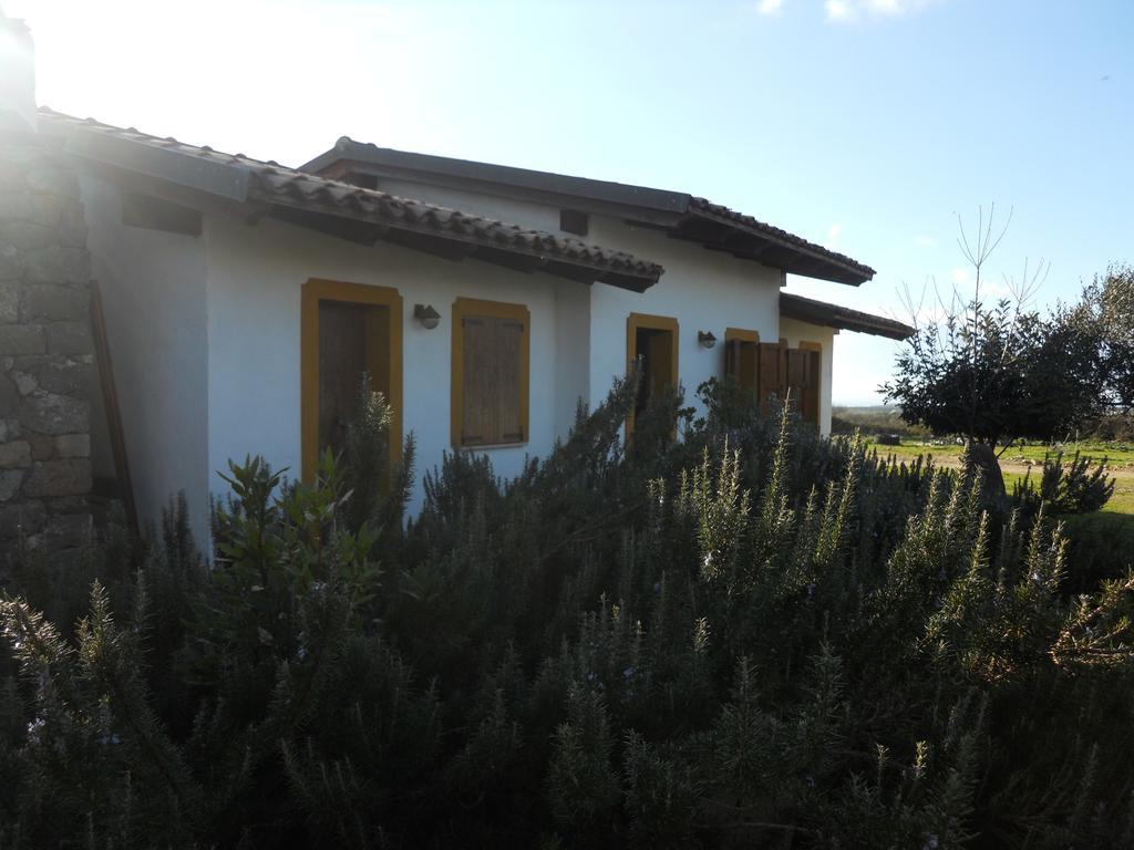 Agriturismo Su Nuratolu Villa Sagama Ngoại thất bức ảnh