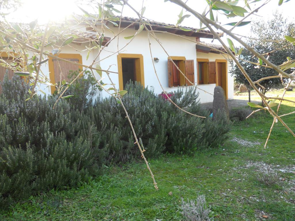 Agriturismo Su Nuratolu Villa Sagama Ngoại thất bức ảnh